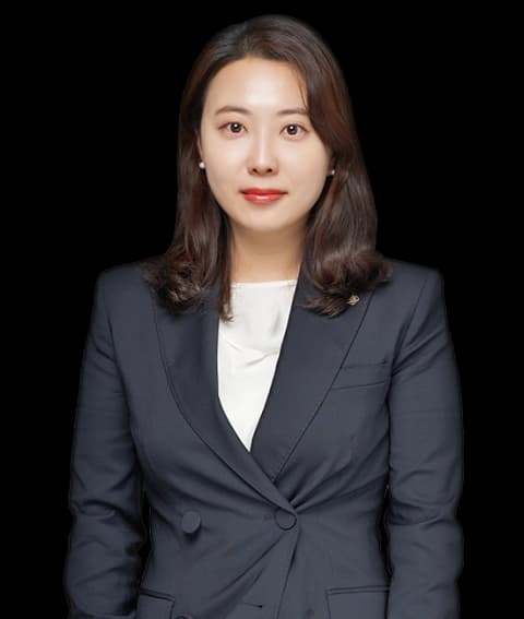 대전친권/양육권/면접교섭권변호사 undefined