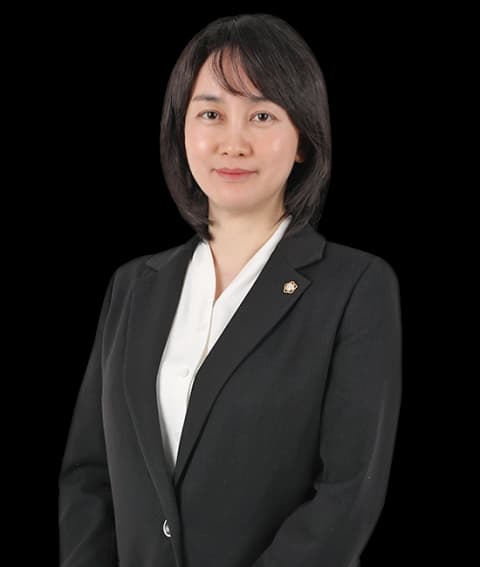 대전명예훼손·허위사실유포변호사 undefined