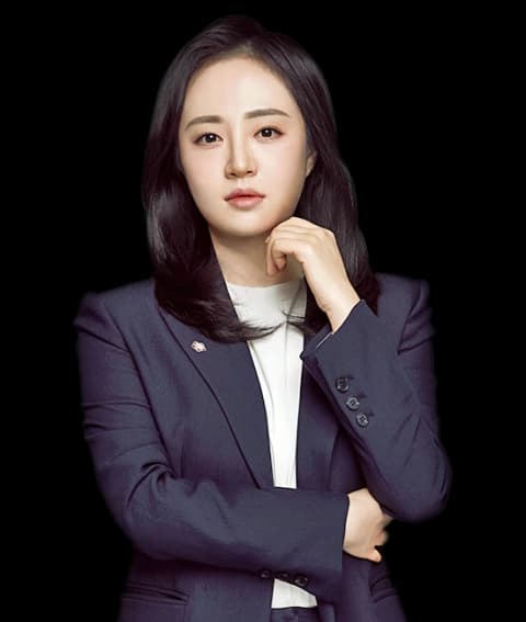 대전국제건설변호사 undefined