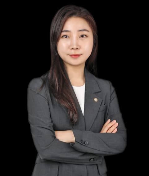 대전사실혼파기변호사 undefined