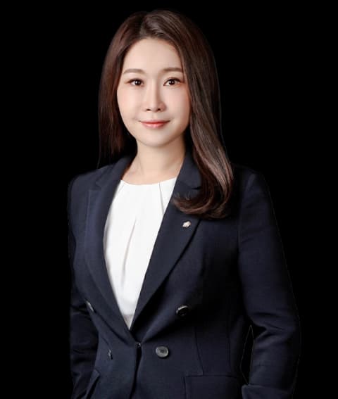 대전사기죄/유사수신행위변호사 undefined