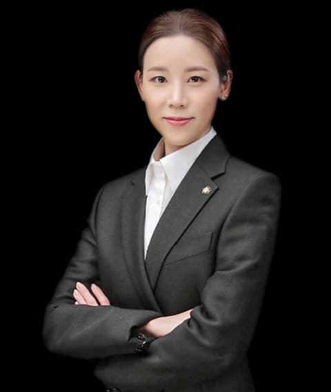 대전관세변호사 undefined
