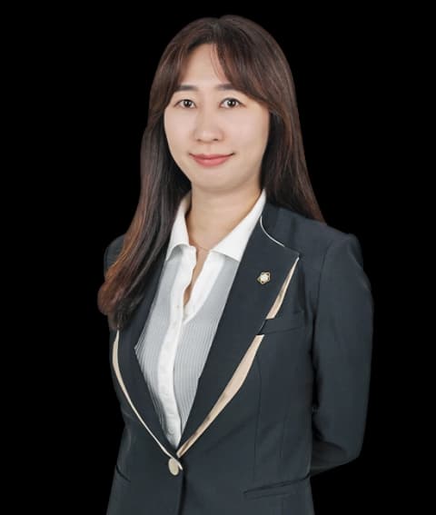 대전채권회수변호사 undefined