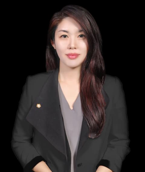 대전특허·실용신안변호사 undefined