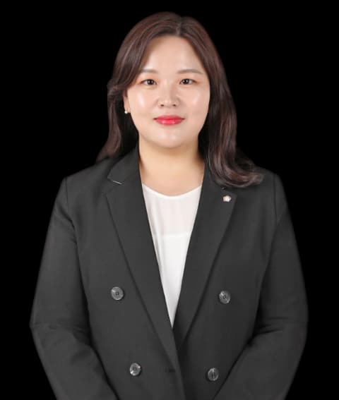 대전소외합의 및 민·형사소송변호사 undefined