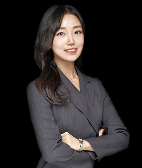 대전회계감리 민사소송변호사 undefined