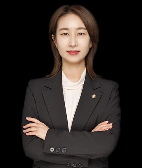 대전친권/양육권/면접교섭권변호사 undefined
